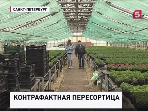 Специалисты Счетной палаты опровергают поговорку "Что посеешь, то и пожнешь"