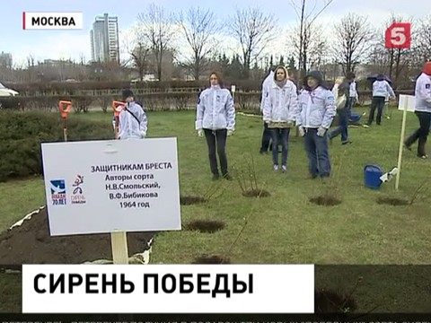 В Москве сегодня появилась большая памятная аллея