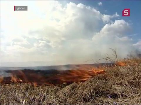 Площадь лесных пожаров в Забайкалье достигла 189 тысяч гектаров