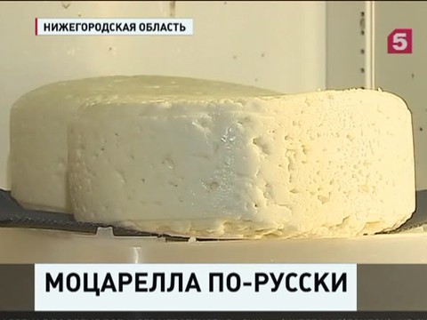 В Нижегородской области производят моцареллу