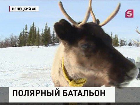 Жителей блокадного Ленинграда спасали "северные олени"