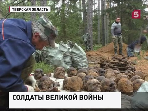 В Тверской области обнаружено захоронение  времен Второй мировой войны