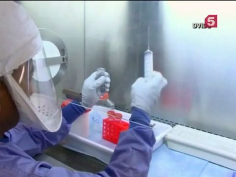 Пентагон сообщает об угрозе эпидемии сибирской язвы