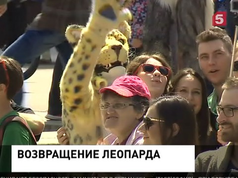 В Москве и Владивостоке провели флешмоб в поддержку леопардов