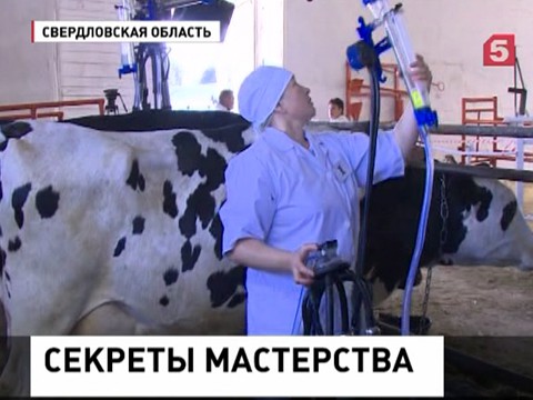 На Урале проходит областной конкурс доярок