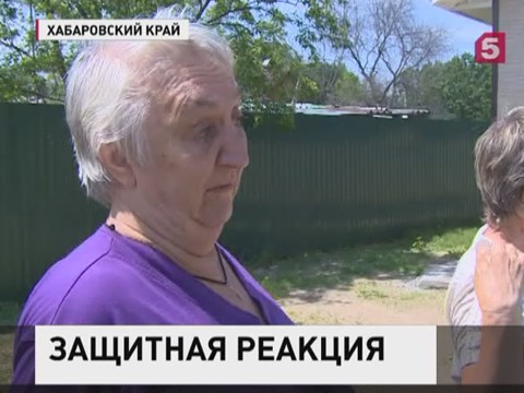 Хабаровское село решили не защищать от наводнений, а ликвидировать