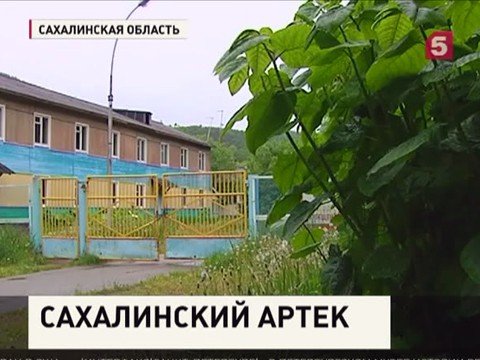 На Сахалине будет возрождён местный "Артек"