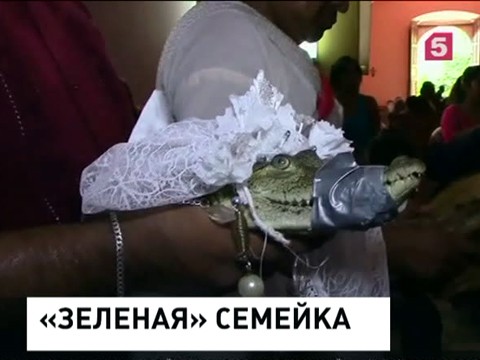 В мексиканском городе Сан-Педро мэр женился на аллигаторе