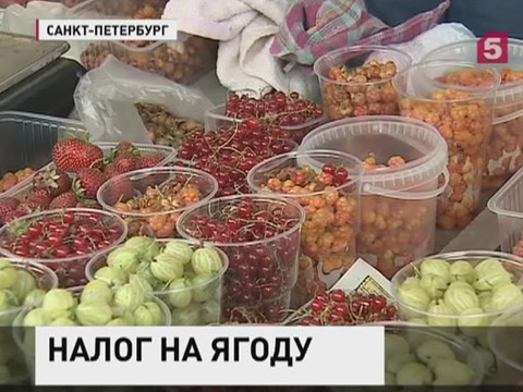 В России хотят легализовать стихийную торговлю