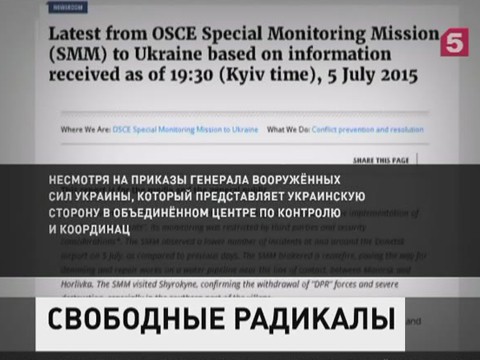 Подразделения «Правого сектора» не подчиняются официальному Киеву