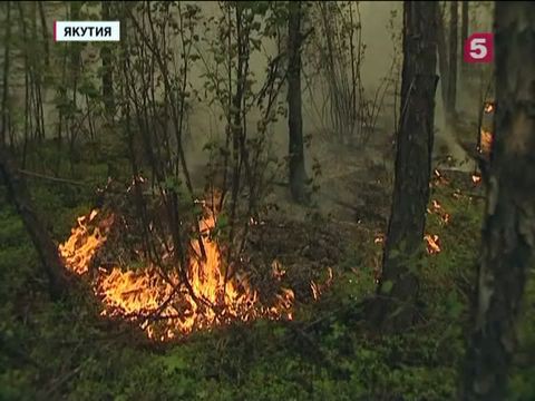 В Якутии обострилась пожароопасная обстановка