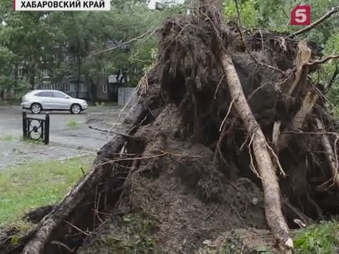 Тайфун "Чан-Хом" оставил Хабаровский край без электричества