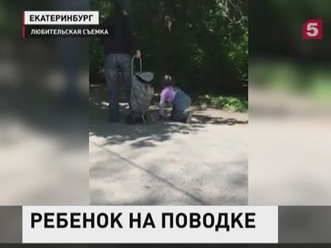 Следователи изучают видео с ребенком на поводке