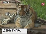 Сегодня - Международный день тигра