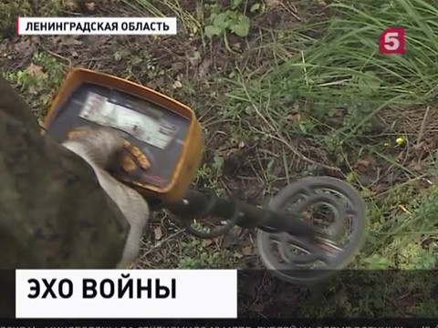 В Ленинградской области поисковики обнаружили бомбардировщик