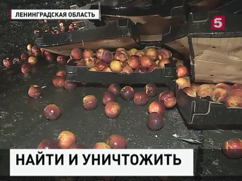 За один день в России уничтожили 300 тонн санкционных продуктов