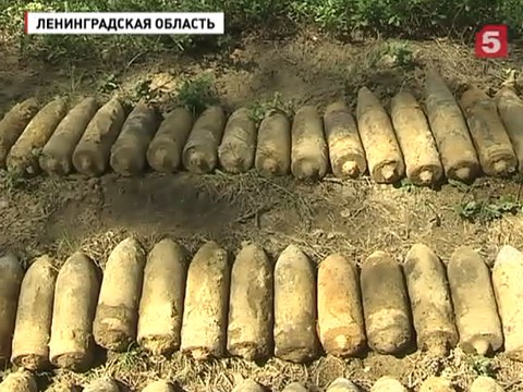 В Ленинградской области нашли тайник времён Великой Отечественной войны