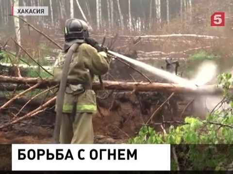 Площадь лесных пожаров в Сибири уменьшается