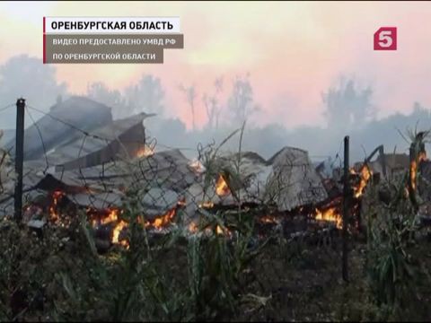 Ситуация с лесными пожарами в Сибири постепенно стабилизируется