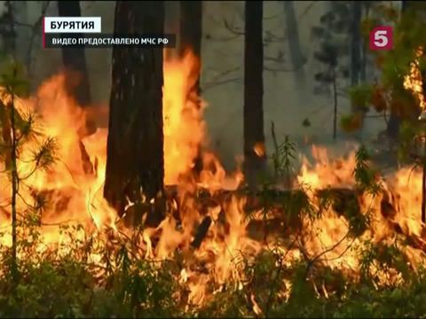 Площадь лесных пожаров в Бурятии за минувшие сутки снова увеличилась