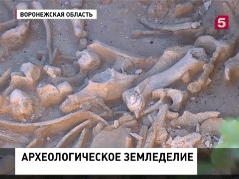 Спасением истории за свои деньги занимается воронежский археолог