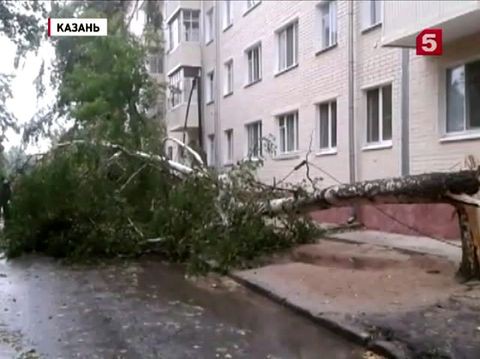 В Казани устраняют последствия урагана