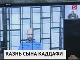 Сыну Муамара Каддафи приведут в исполнение смертный приговор