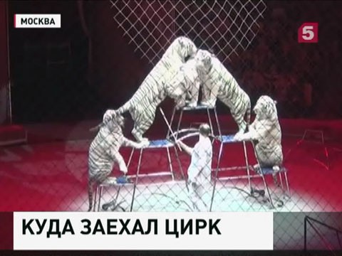 Росгосцирк намерен судиться со своими бывшими сотрудниками