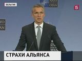 НАТО не дают покоя успехи российских военных в Сирии