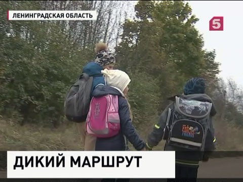 В Ленинградской области школа отправила детей лесом