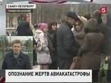 Судмедэксперты начали процедуру опознания тел погибших в катастрофе А321