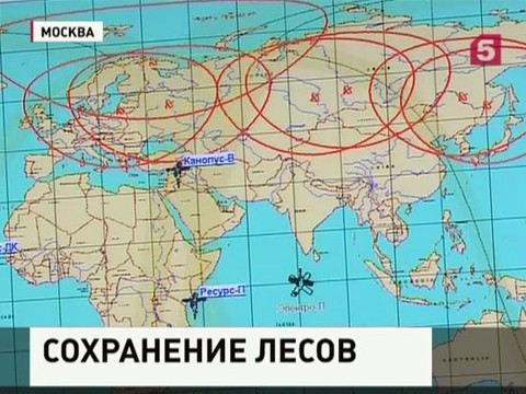 Роскосмос поможет ОНФ в борьбе с чёрными лесорубами