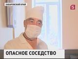 Депутаты Хабаровского края предлагают принудительно лечить больных туберкулёзом