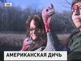 В США отмечают День благодарения