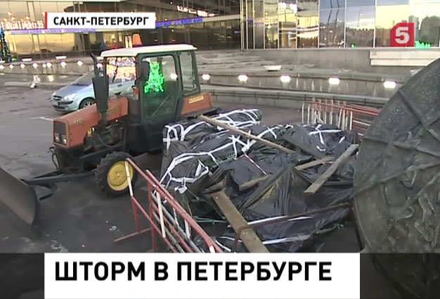 В Петербурге устраняют последствия шторма