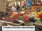 Турция готовится к многомиллиардным потерям от санкций со стороны России