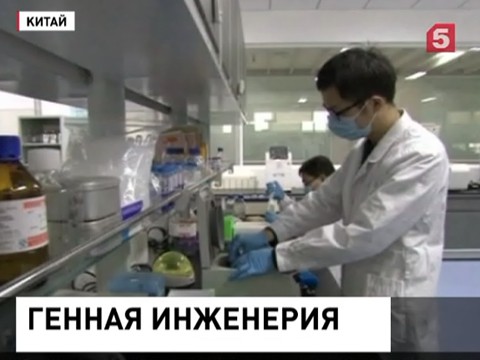 Китайские ученые смогли получить сыворотку альбумина искусственным способом