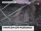 Житель Кемеровской области выходил медвежонка