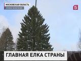 В Москве выбрали главную новогоднюю елку страны