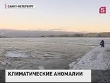 Аномальная погода ждет жителей Земли в новогодние праздники