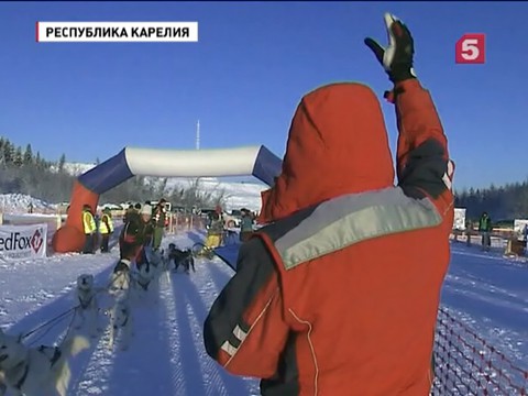 В Карелии стартовали международные соревнования на собачьих упряжках