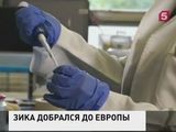 Чем опасен вирус Зика для людей