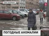 В европейской части России резко изменилась погода