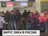 В России зарегистрирован первый случай заражения лихорадкой Зика