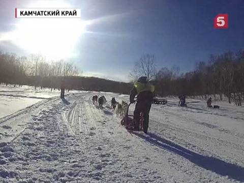 Самая протяженная гонка на собачьих упряжках стартовала на Камчатке