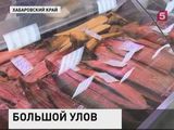 Камчатка планирует стать главным поставщиком рыбы в России