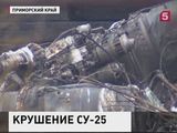 Очевидцы рассказали о крушении Су-25 в Приморье