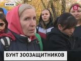 Прокуратура проверяет приют для животных «Эко Вешняки» в Москве