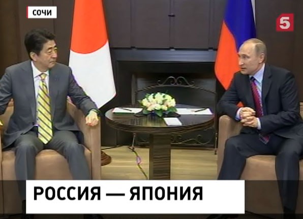 Путин и Синдзо Абэ обсуждают пути решения сирийского кризиса в Сочи