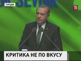 Эрдоган подал новый иск из-за стихотворения сатирика Бемермана